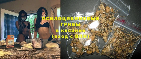 не бодяженный Лагань