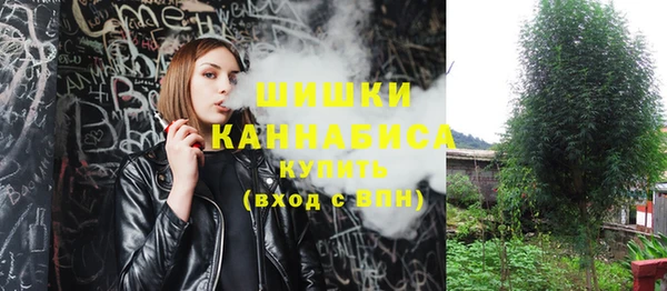 первитин Лабытнанги