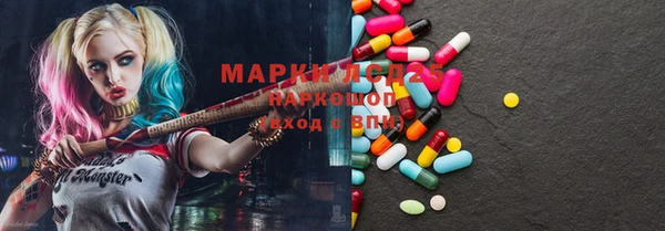 прущие грибы Магадан